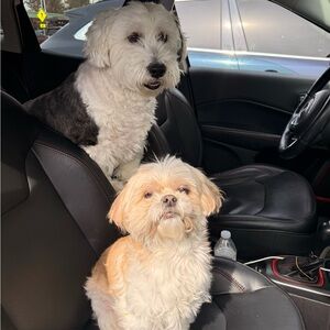 Riley & Bailey And Saturday Night Sharing Fiesta